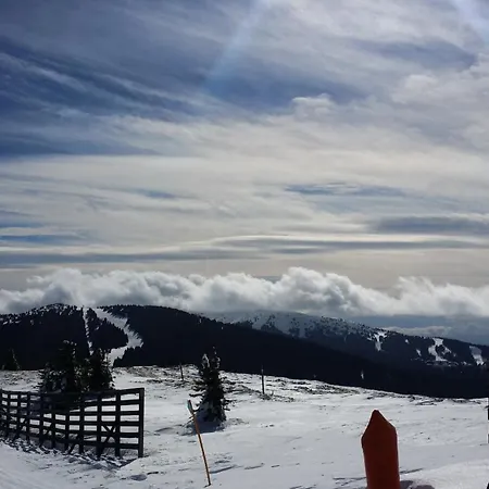 Zubovic Daire Kopaonik