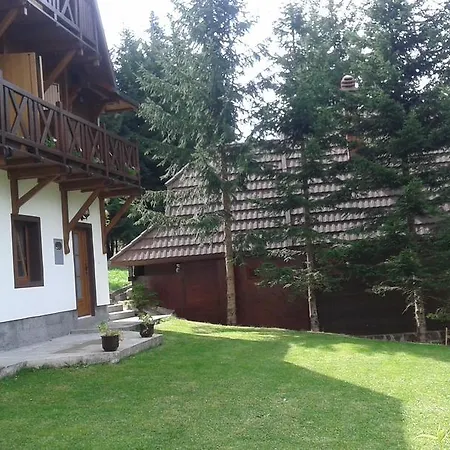 Zubovic * Kopaonik